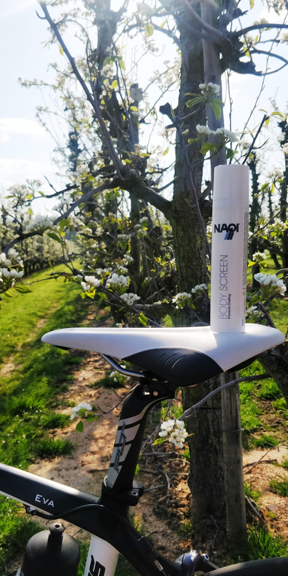 fd9a1c12-e6e8-4816-9417-8aaccc75be17